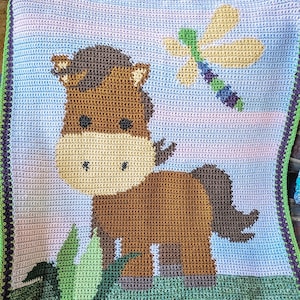 May include: A handmade crochet blanket featuring a brown horse with a tan muzzle and a dragonfly. The blanket has a blue, green, and purple color scheme. The horse is standing in a field of green grass.
