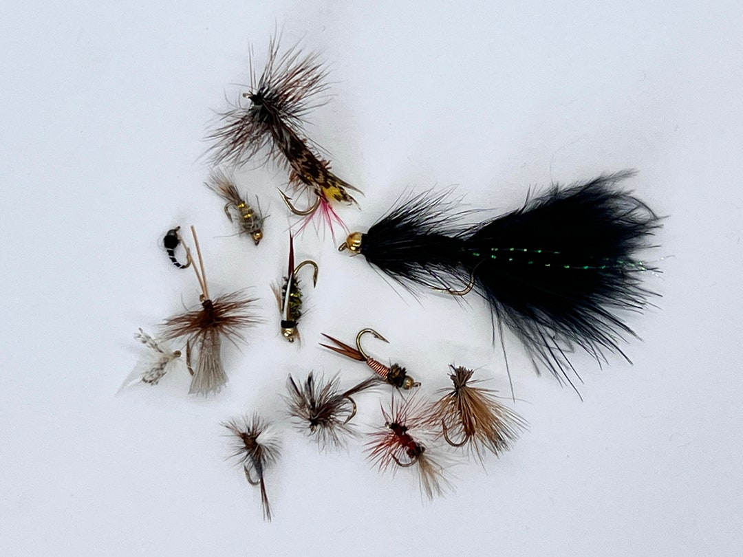 12 Fly Fishing Fly Assortment of Dry Flies and Nymphs for Trout Etsy