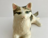 Articolo da questo negozio