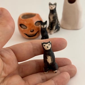 May include: A small black and white ceramic cat figurine with a painted face. In the background, there is an orange ceramic pumpkin-shaped container, a taller black and white ceramic cat figurine, and a pale beige ceramic ghost-shaped object.