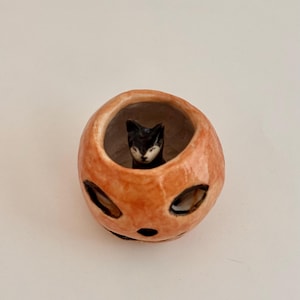 May include: A small, round, orange ceramic vessel shaped like a jack-o'-lantern with carved eye and mouth openings. Inside the hollow center of the orange pumpkin-like container sits a tiny, sculpted black and white cat figurine facing forward.