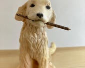 Articolo da questo negozio