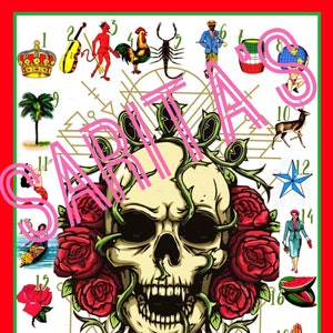 Loteria Mexicana Board skull roses 25 numbers