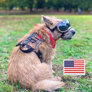 K9R - M1 Lightspeed Harness