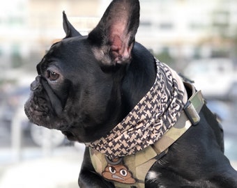 gucci dog scarf