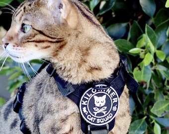 CAT SQUAD Morale Patch