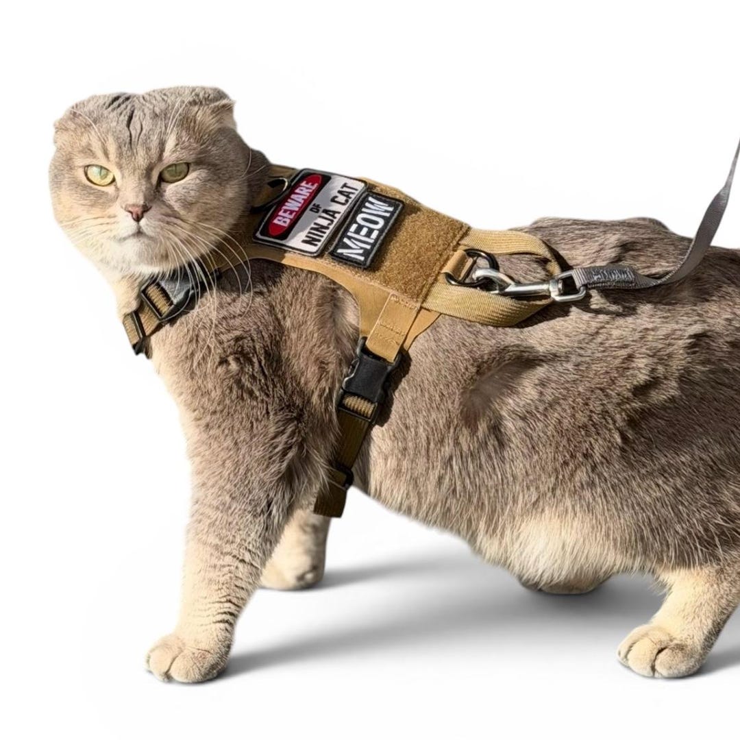 K9R - M1 Lightspeed Harness for Cats - Etsy