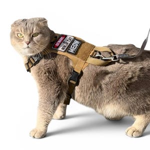 May include: A tan tactical cat harness featuring two rectangular patches with white text that reads BEWARE OF NINJA CAT and MEOW. The harness includes adjustable black plastic buckles, a metal D-ring for a leash attachment, and a grey leash strap.