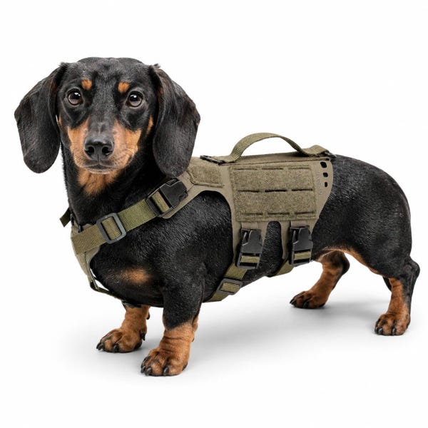Dachshund Harness | No-Pull Tactical Dog Harness | MOLLE Harness for Long-Bodied Dogs | Kiloniner D5