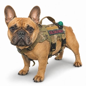 Op de afbeelding: Een reekleurige Franse Bulldog draagt een tactisch camouflage hondentuig met een handvat, zwarte gespen en een rechthoekige patch met de tekst KILONINER in rode letters op een zwarte achtergrond, inclusief een klein groen rond lampje.