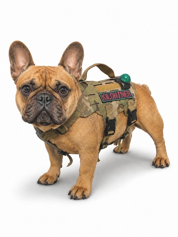 Tactical MOLLE Dog Harness | Hiking & Training | Made in USA