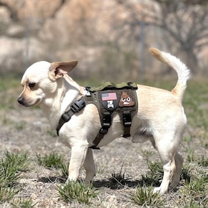 K9R - M5 MOLLE Light Vest