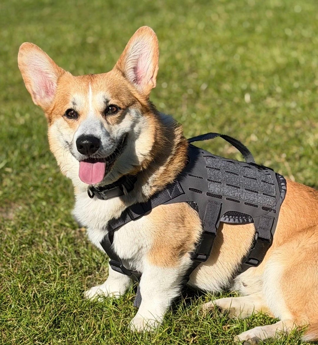 KILONINER(キロナイナー) M4Tactical MOLLE Mサイズ Kiloniner M4 Tactical MOLLE Dog & Cat Harness | Hiking and