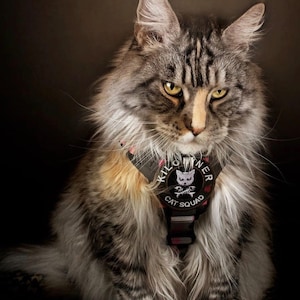 CAT SQUAD JUNGLE Morale Patch