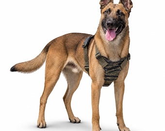 Large Dog Harness | Working K9 Gear No Pull | Made in USA | Kiloniner M1 Large