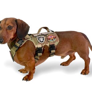 K9R - M5 MOLLE Light Vest