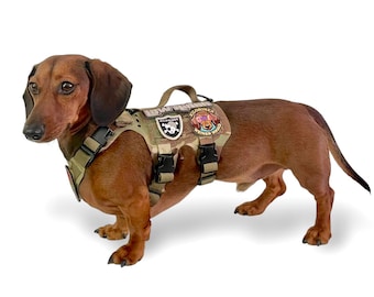 K9R - M5 MOLLE Light Vest