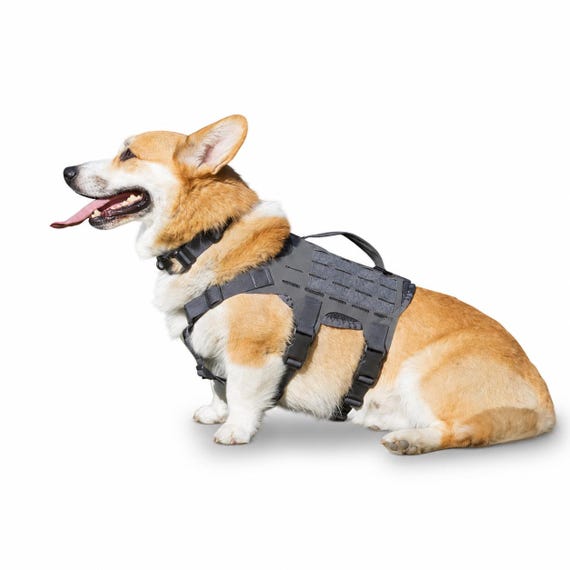 Tactical MOLLE Dog Harness | Hiking & Training | Made in USA