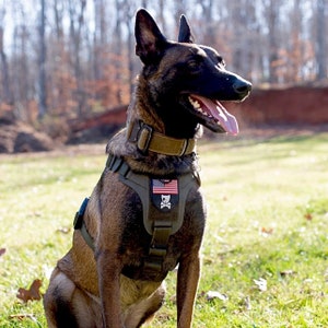 Customizable Embroidered Tactical Patch For Dog Harness - Temu