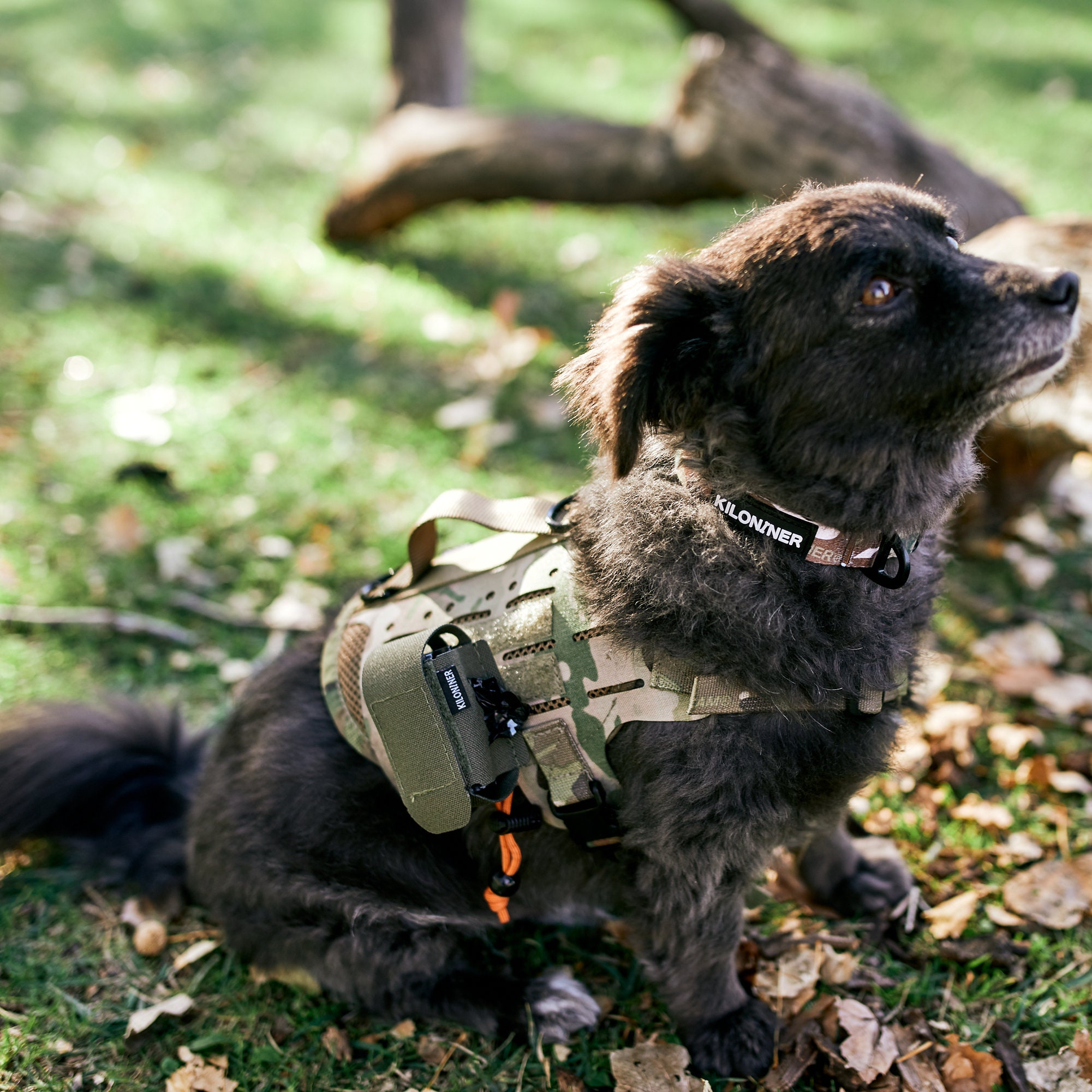 Kiloniner M4 Tactical MOLLE Dog & Cat Harness | Hiking and 