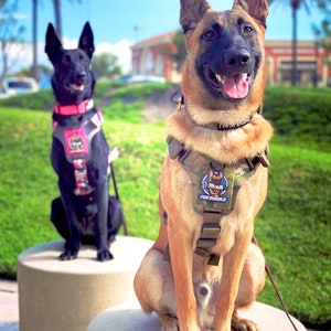 K9R - M1 LightSpeed Harness Large