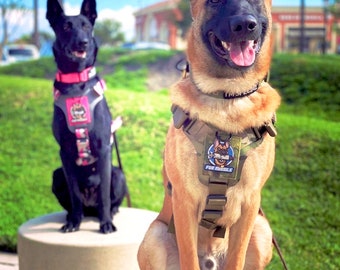 K9R - M1 LightSpeed Harness Large