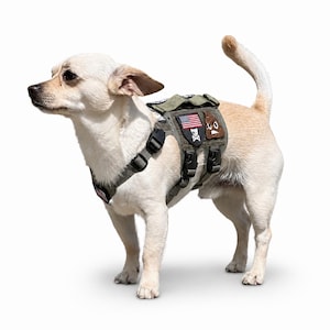 May include: A light tan dog wearing an olive green tactical harness with adjustable black straps and buckles. The harness features three rectangular patches: an American flag, a white skull and crossbones icon, and a brown cartoon poop emoji.