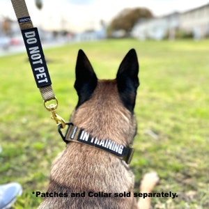 K9R - BLH grote hondenriem, zwaar uitgevoerd