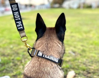K9R - BLH Big Dog Leash Heavy Duty