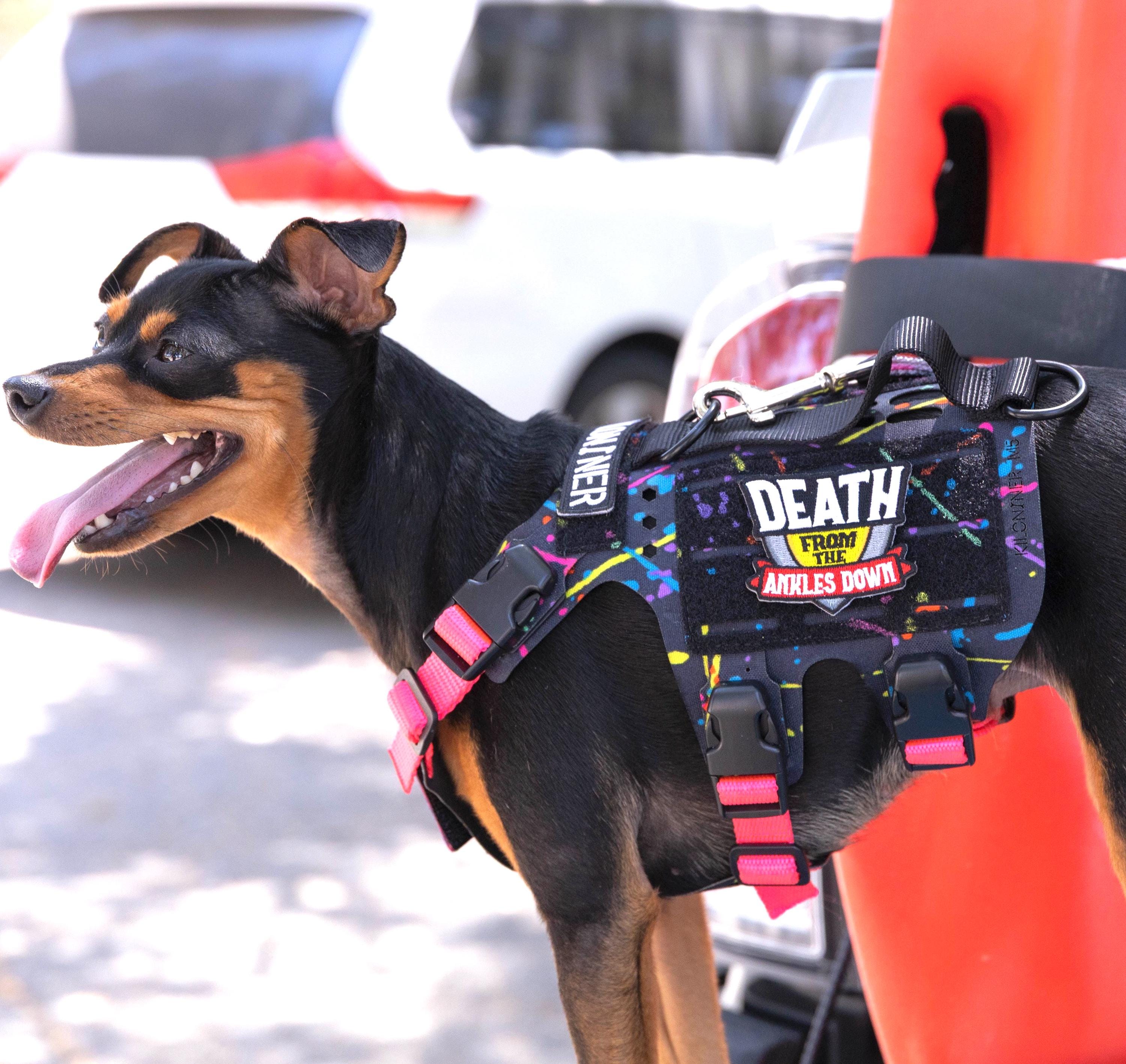 Small Dog Harness | Lightweight No Pull Vest | Tactical Pet Gear