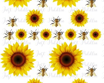 Free Free Sunflower Waterslide Svg 831 SVG PNG EPS DXF File
