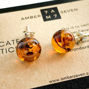 Stud Earrings | Baltic Amber & Silver | Large Crystal Stud Earrings | Cute Stud Earrings | Amber Pearl Stud Earrings Gift Bernstein Ohrringe