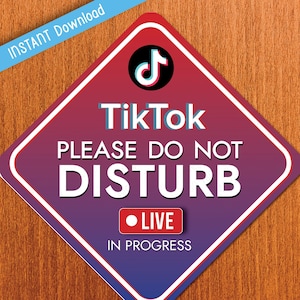Live TikTok Video Recording Please Do Not Disturb Door Sign, Do Not Enter Hanging Sign, Social Media Film Printable Sign, Streaming Live Now