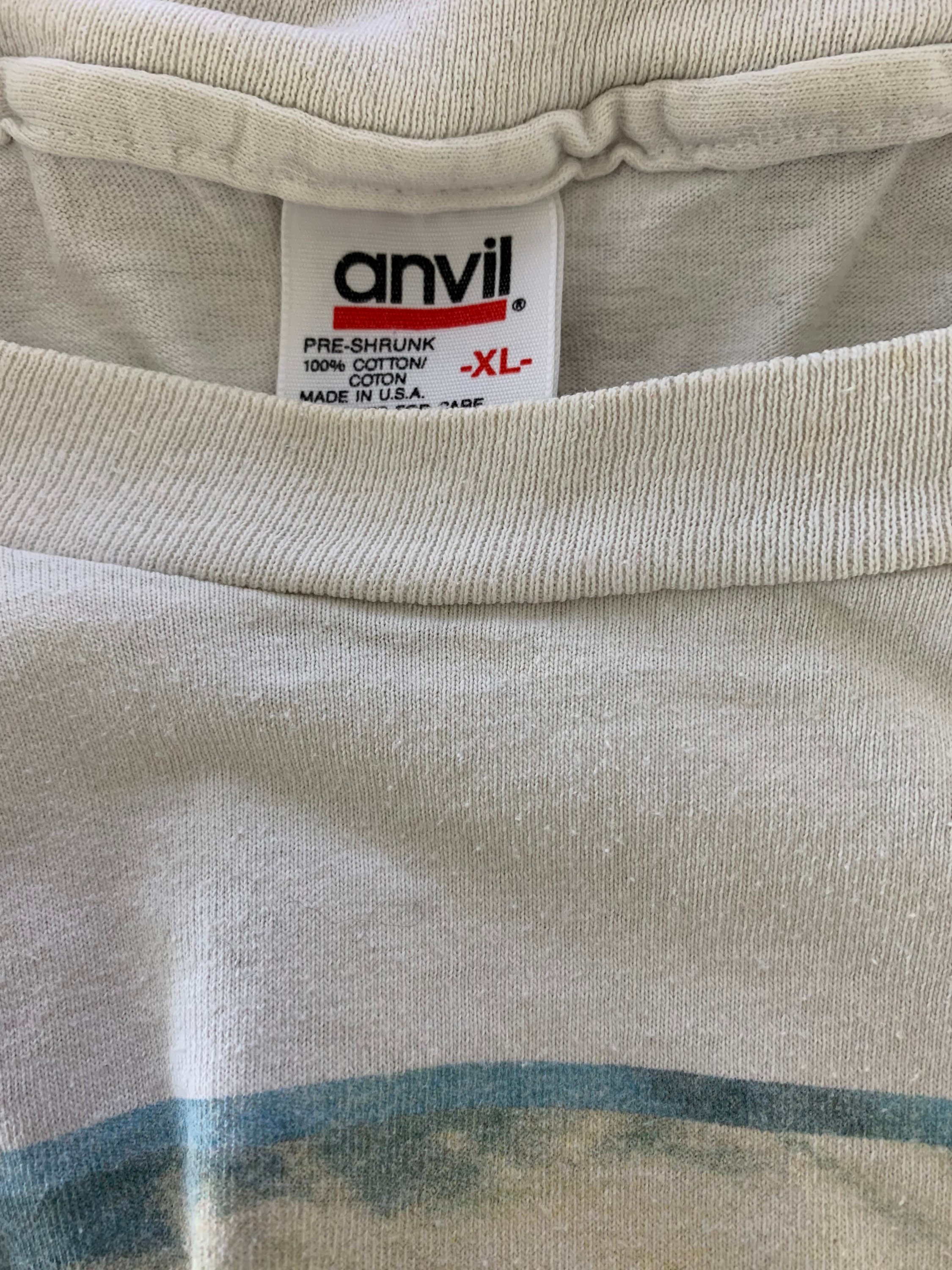 NIRVANA 1994 Tシャツ ヴィンテージ / カート・コバーン / 音楽の終焉