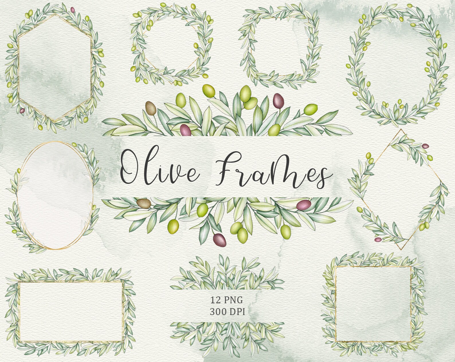 Olive leaf frames clip art Olive greenery foliage hand drawn Etsy