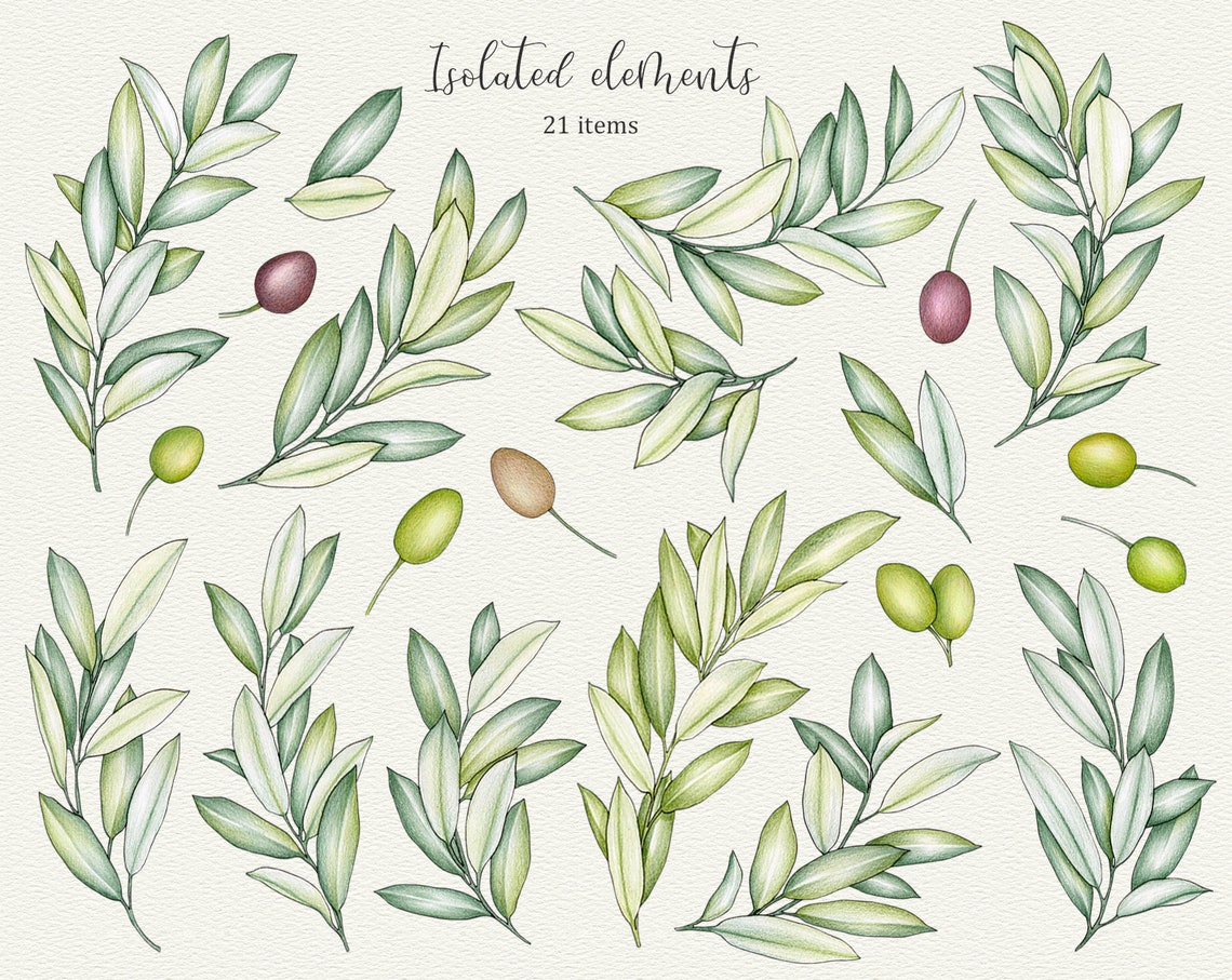 Olive branch clipart Hand-drawn olives and leaves clip art | Etsy