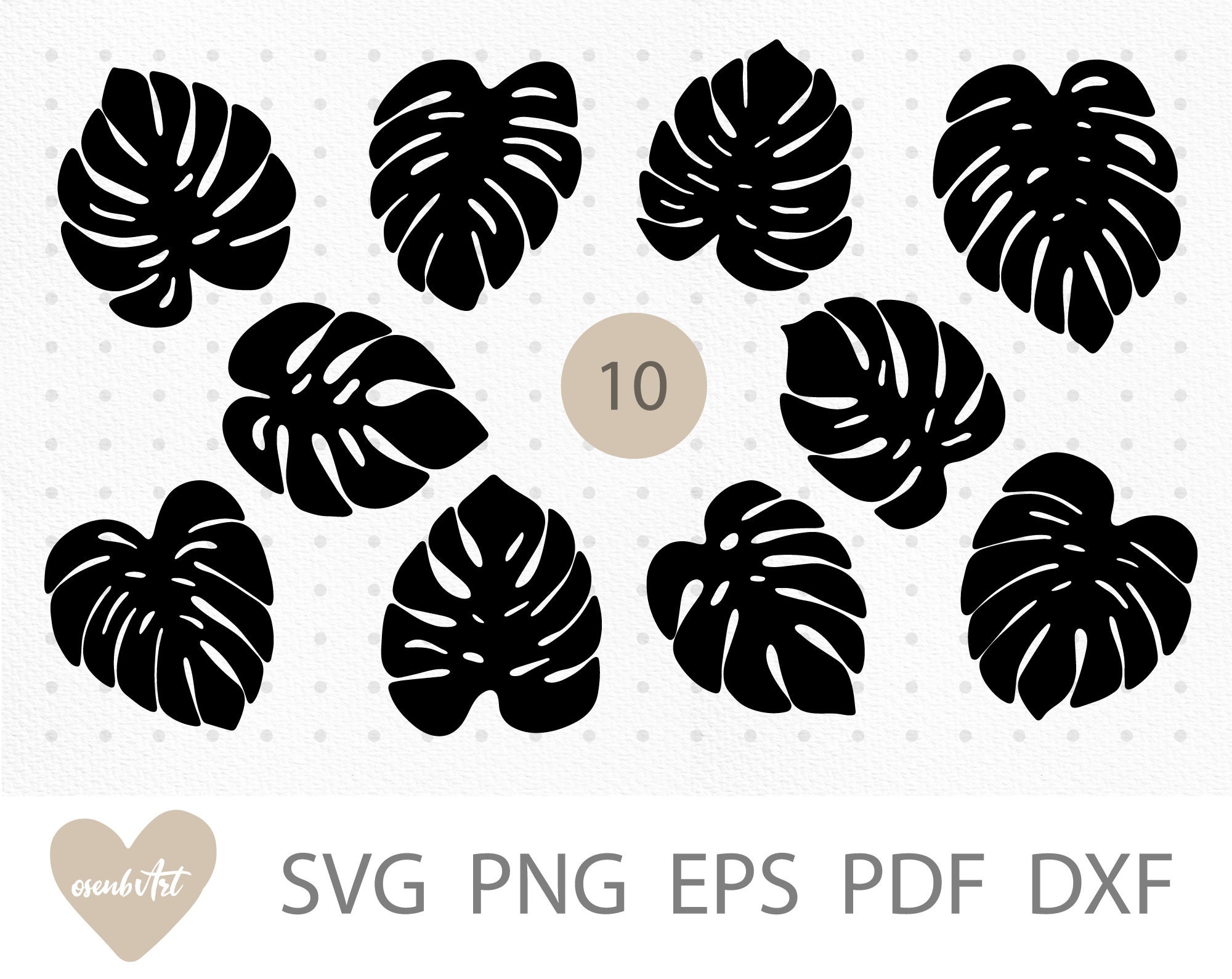 Monstera leaf svg Tropical leaves svg Monstera svg files for | Etsy