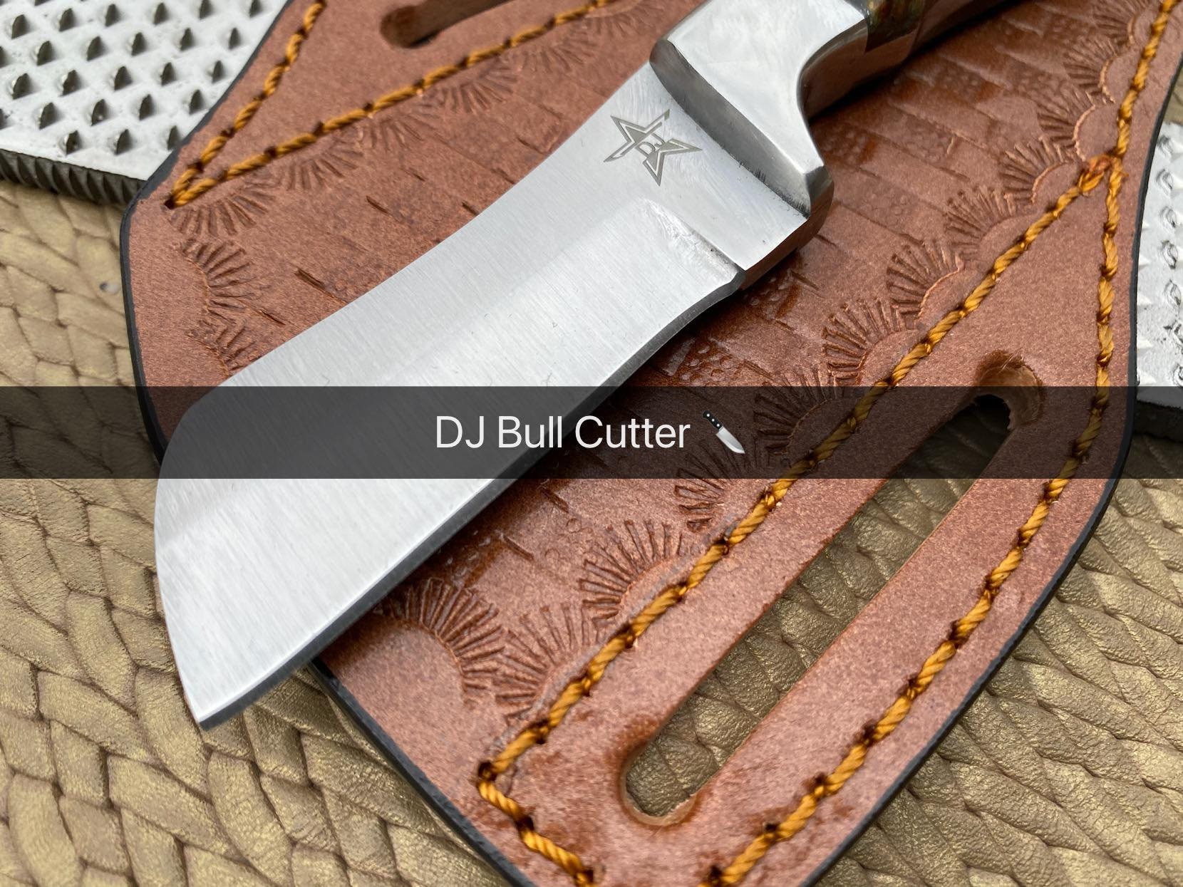 Excellent Farrier Rasp Bull Cutter Etsy