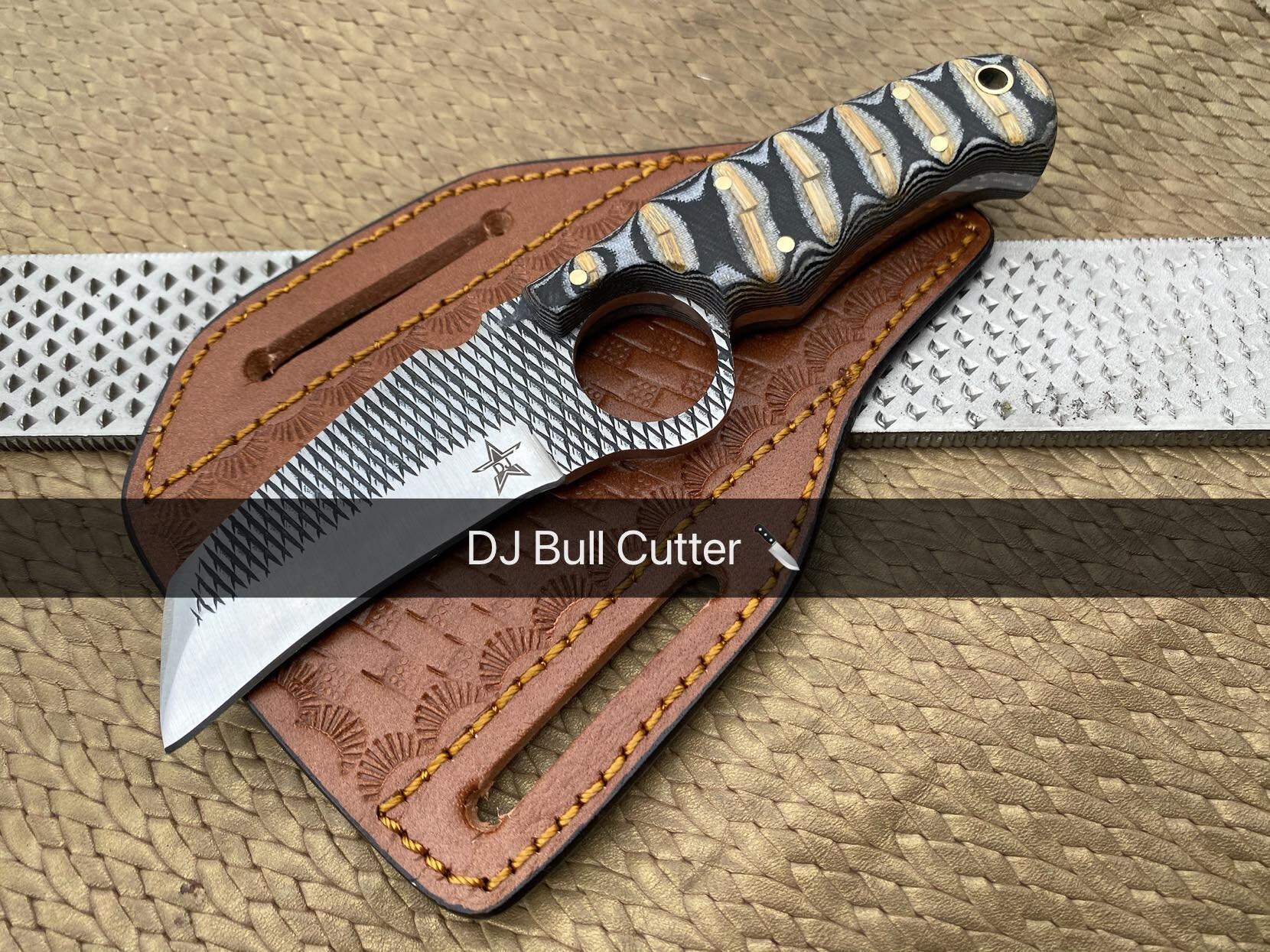 Farrier Rasp for sale Only 2 left at 65