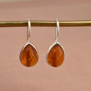 Peut inclure: Une paire de boucles d'oreilles en argent en forme de goutte avec des pierres ambrées.