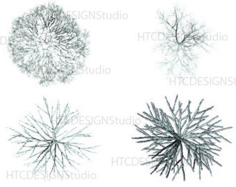 Download Winter Tree Svg Etsy