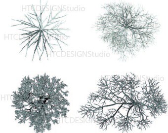 Download Winter Tree Svg Etsy