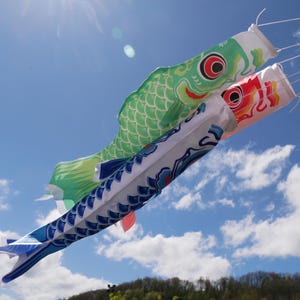 Manga de viento japonesa Koinobori – Peces Koi de tela, decoración para el Día del Niño (40 cm)