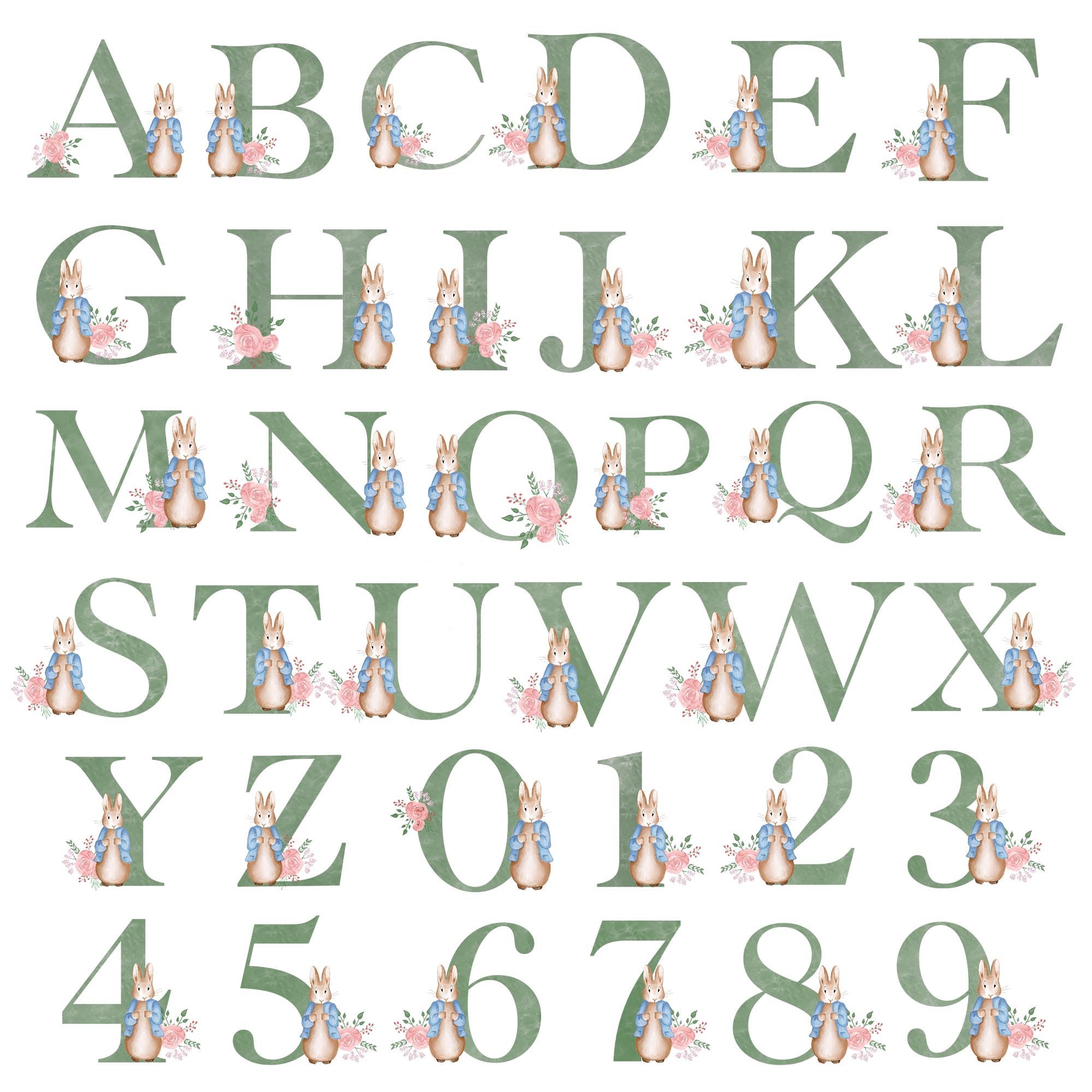 peter rabbit floral alphabet watercolour digital png files etsy