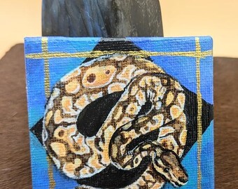 Pintura Mini Pitón Bola