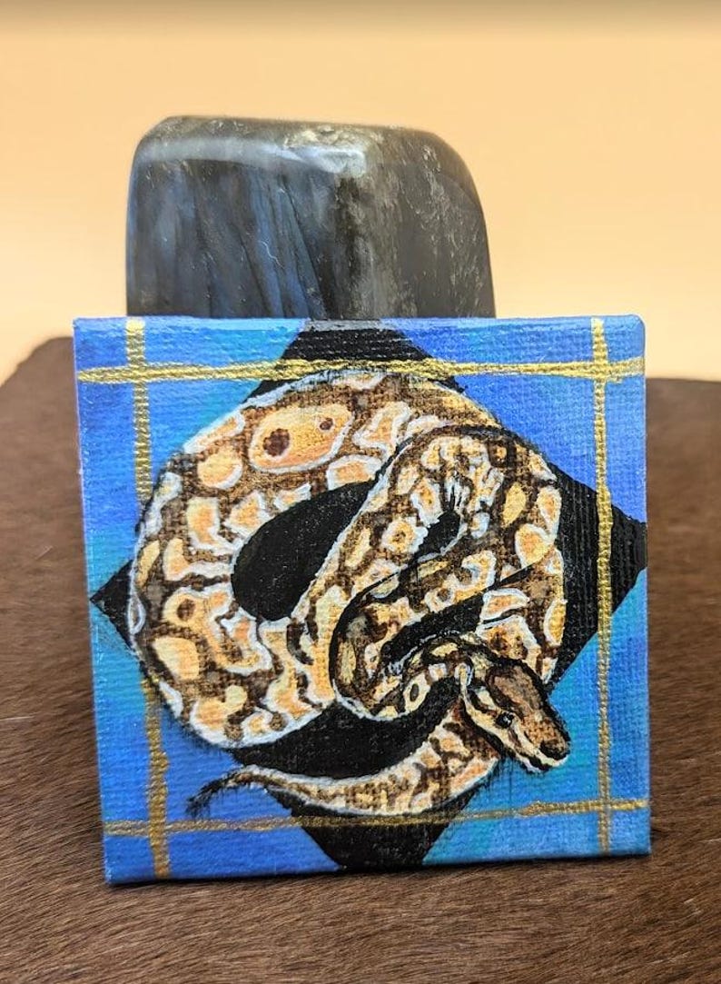 May include: A small painting on canvas depicting a curled up snake against a black and white checkered background. The snake is a light brown colour with black markings and a yellow underbelly. The background is blue with gold accents.