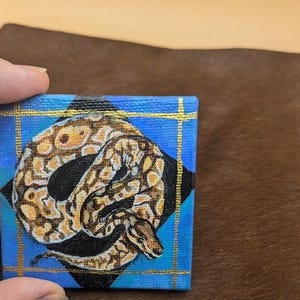 May include: A small, square canvas painting of a curled up snake with a brown and white pattern on a blue background with gold accents.