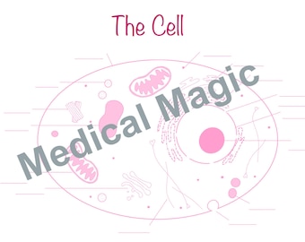 Human Cell Labeling Worksheet | For Nursing and Anatomy Students | Printable Download