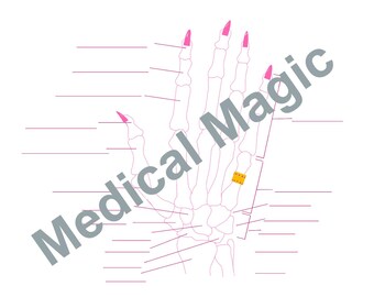 Hand Bone Labeling Worksheet | For Nursing and Anatomy Students | Printable Download