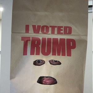 May include: A brown paper bag with the text "I VOTED TRUMP" printed in red. A person's face is visible through two eye holes and a mouth hole cut into the bag.